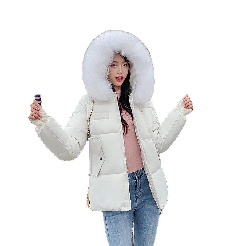 Women's Top Down Cotton-Padded Jacket for Autumn and Winter