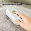 Cat Hair Remover Steam Brush